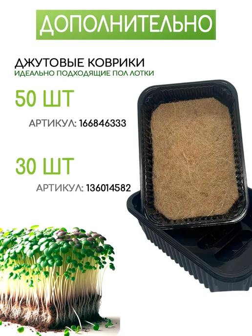 FOREST GREEN Лотки для выращивания Микрозелени рассады, зеленый, фото 5