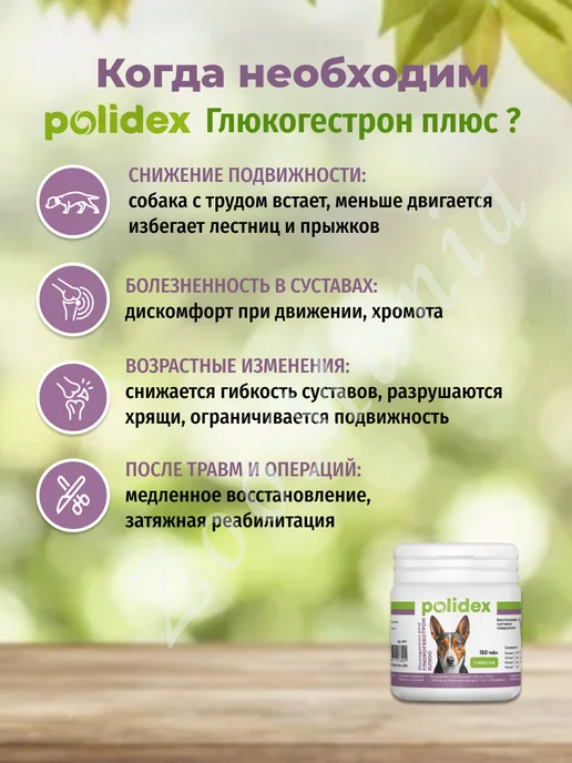 polidex Глюкогекстрон Плюс, хондропротектор для собак, 150 таб, вариант, фото 3