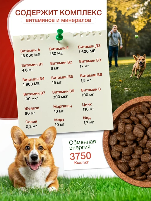 Сухой корм VitoRiya для собак, мясо, ягненок, 3 кг, фото 3