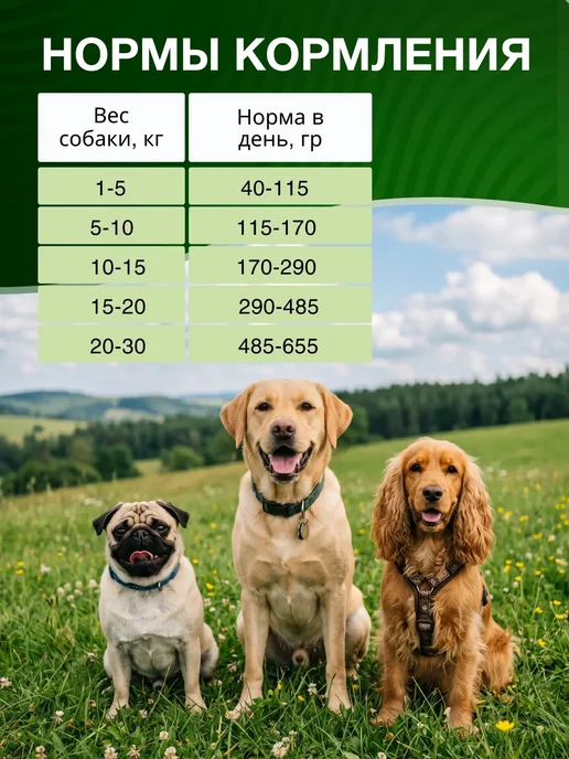 Сухой корм VitoRiya для собак, мясо, телятина, 1 кг, фото 4
