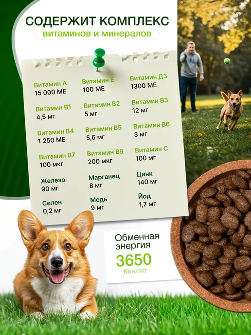 Сухой корм VitoRiya для собак, мясо, телятина, 1 кг, фото 5