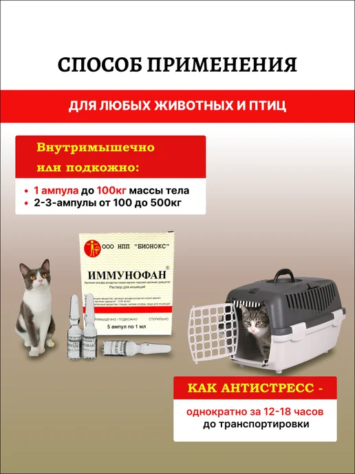 Иммунофан 0,05мг мл, раствор для инъекций, 1 мл №5, 3шт, 1 мл, 3 шт, фото 4