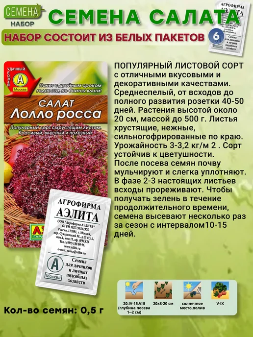 Агрофирма АЭЛИТА Набор Семена салата 6 шт, 6 шт, фото 4