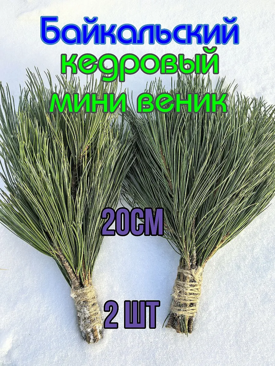 Кедровый МИНИ веник для бани 2