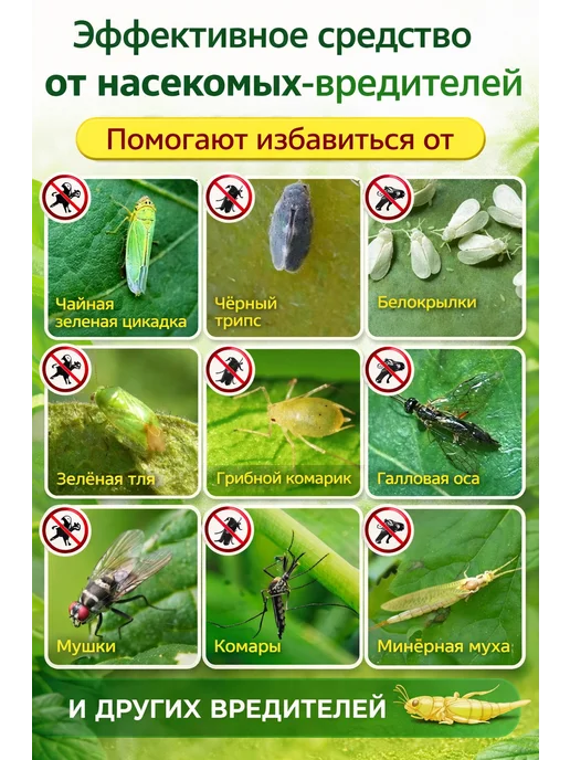 PharmAgro Жёлтые клеевые ловушки 20 шт для теплицы, сада и огорода, 20 шт, фото 3