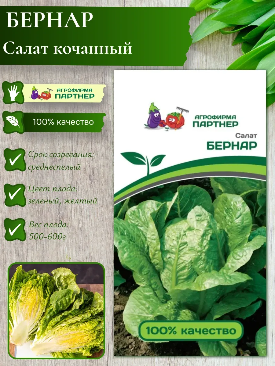 Семена Салат кочанный "БЕРНАР"