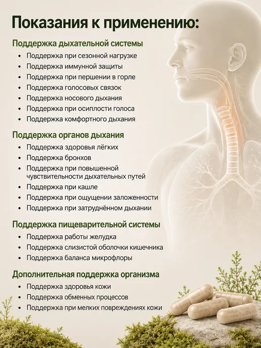 Исландский мох в капсулах при кашле, вариант, фото 2
