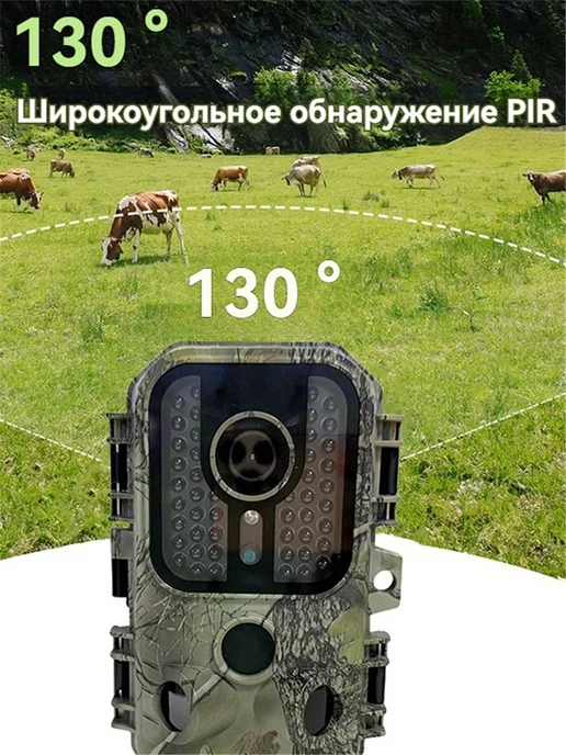 Фотоловушка, зеленый, фото 3