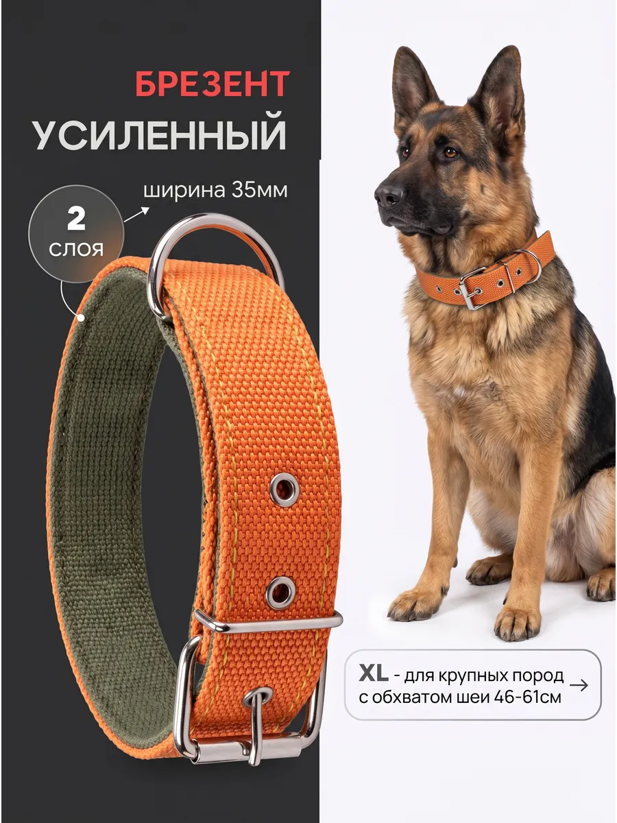 Прочный ошейник для крупных собак, брезентовый слой