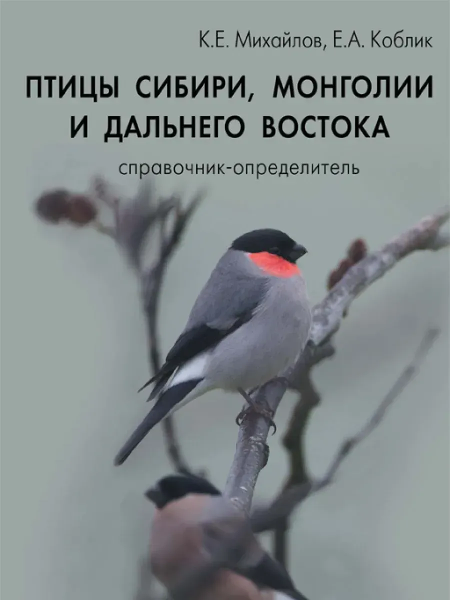 Книга определитель птицы Сибири Монголии и Дальнего Востока